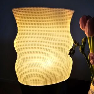 Seashell table lamp